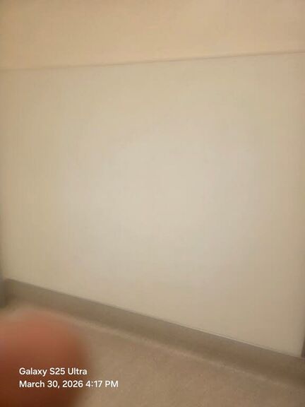 2014 HYUNDAI Elantra