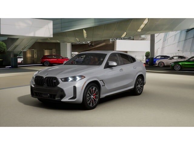 2026 BMW X6