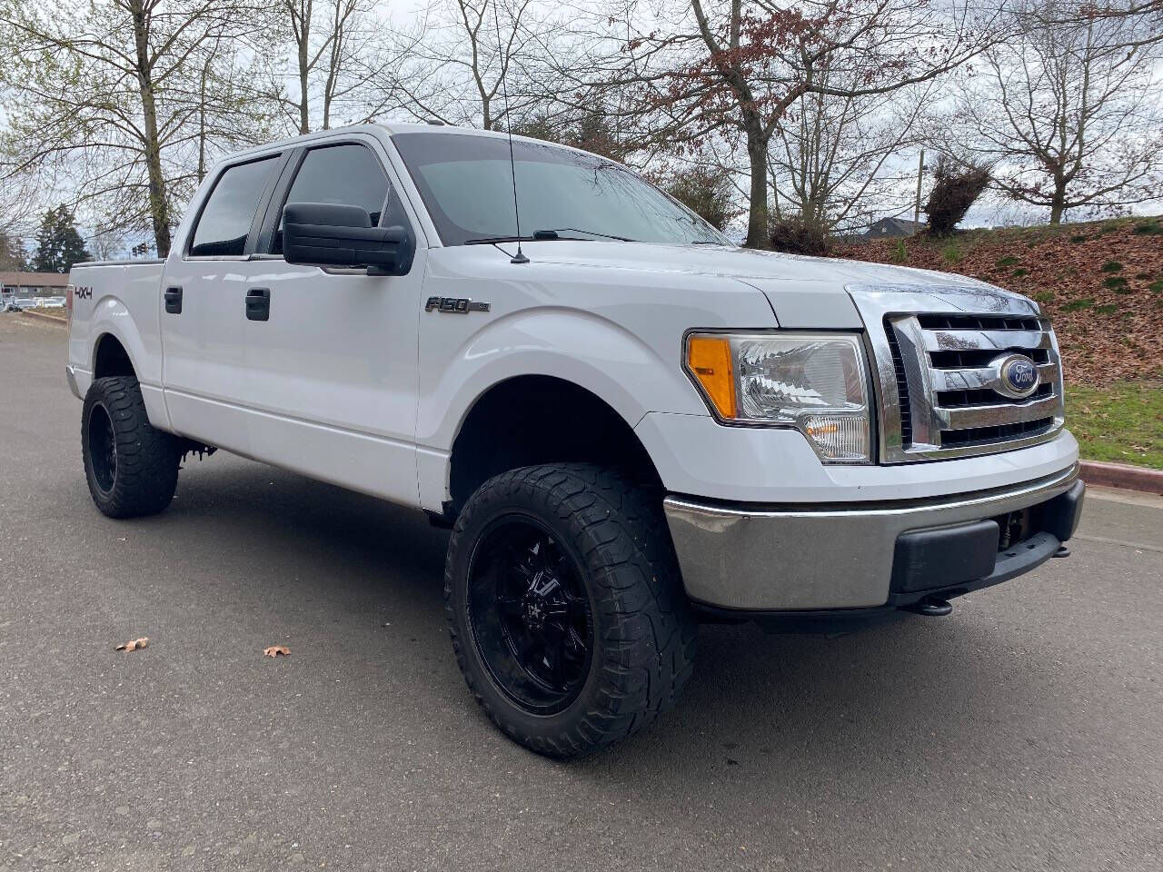 2010 FORD F-150