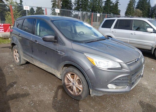 2014 FORD Escape