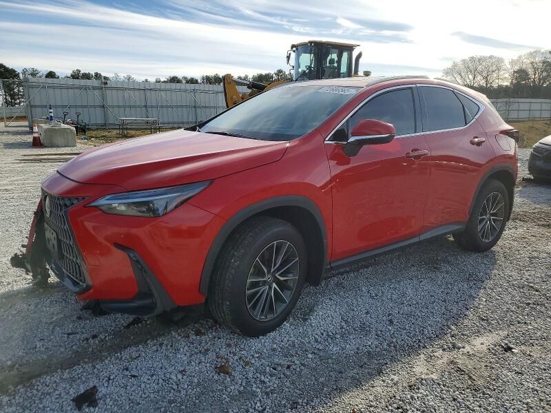 2024 LEXUS NX