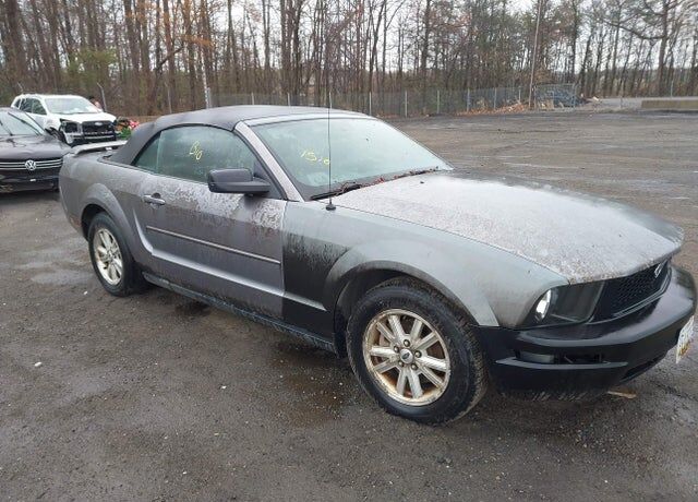 2006 FORD Mustang