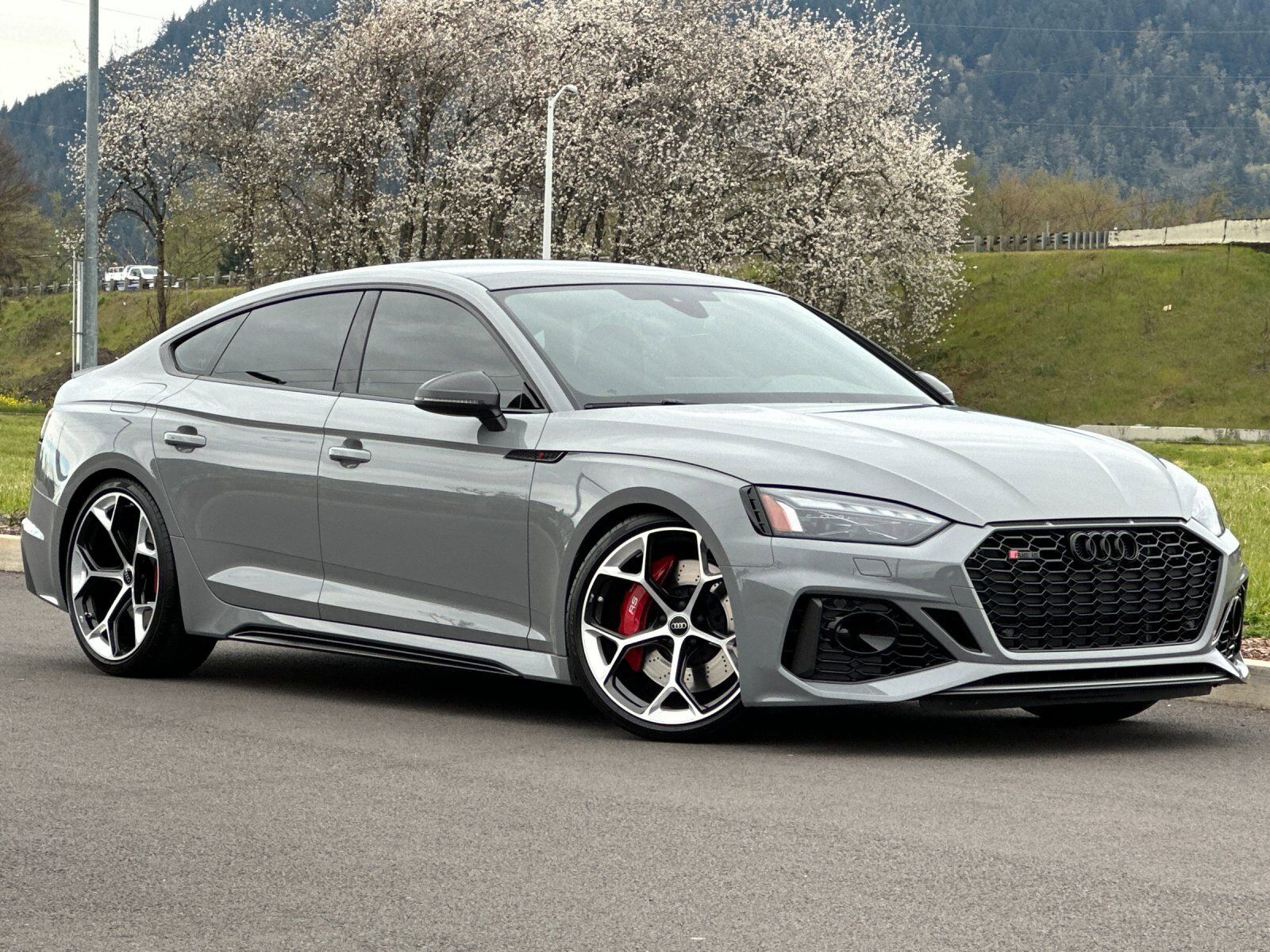 2024 AUDI RS5