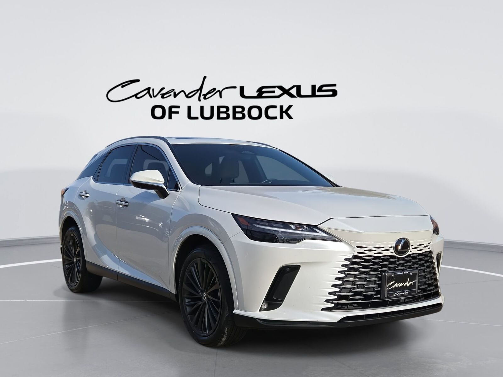 2025 LEXUS RX