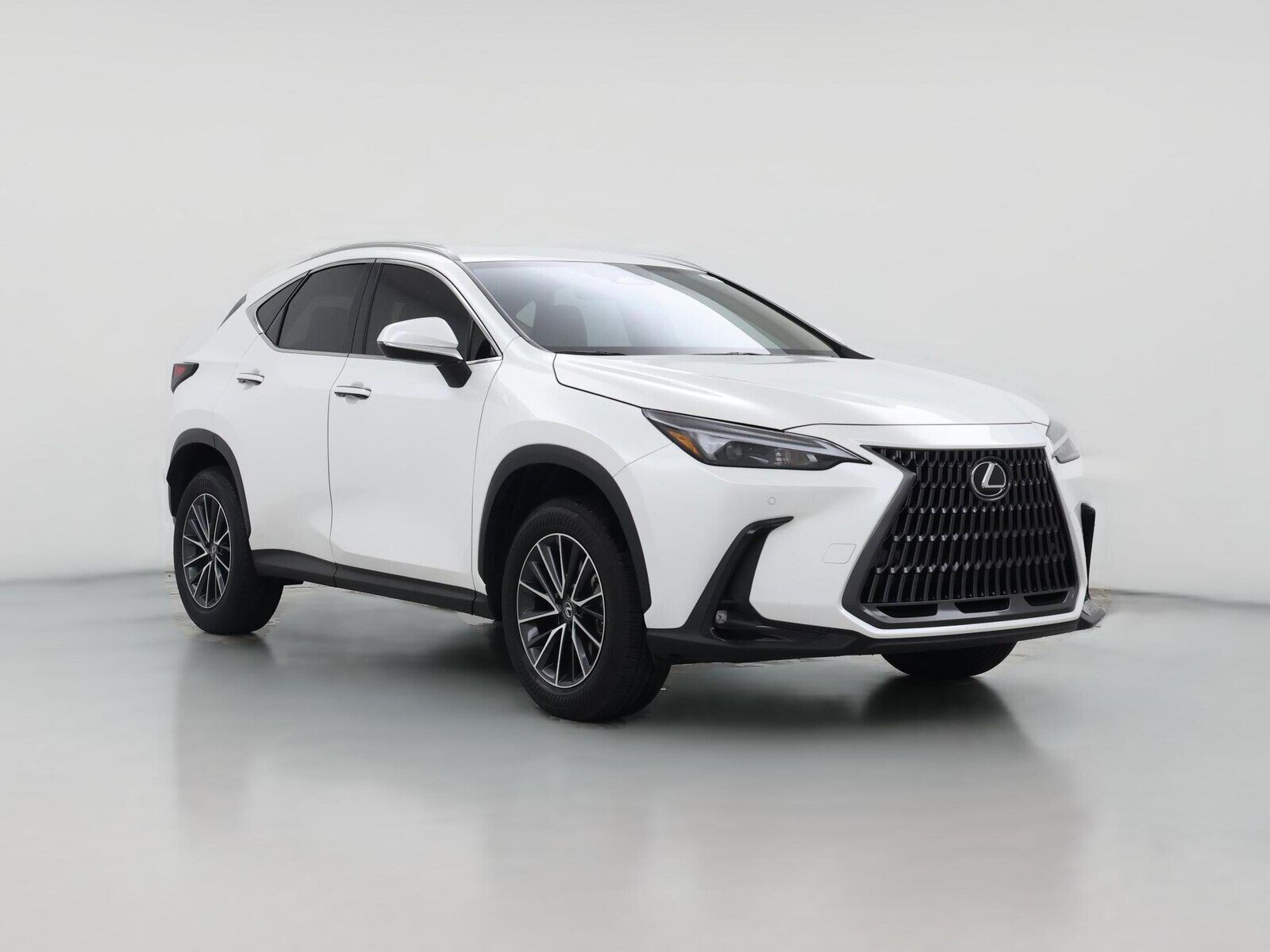 2025 LEXUS NX