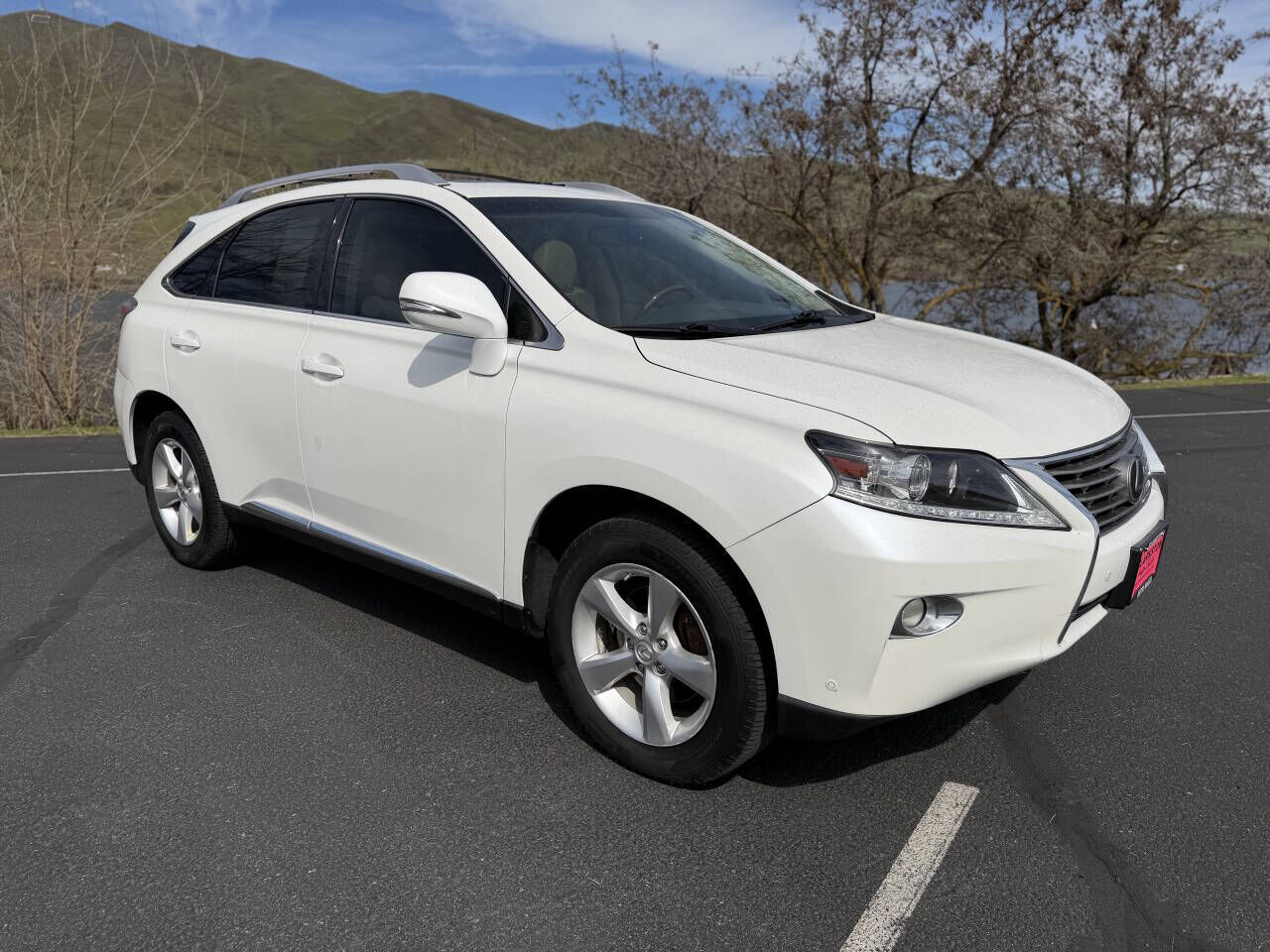 2013 LEXUS RX