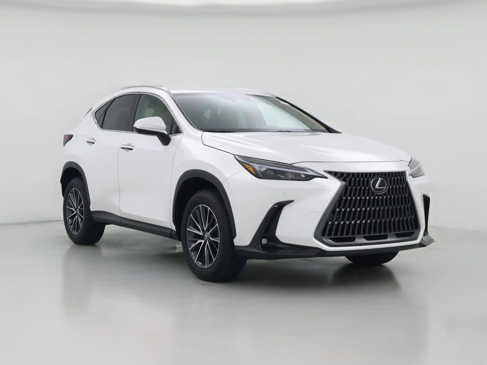 2025 LEXUS NX