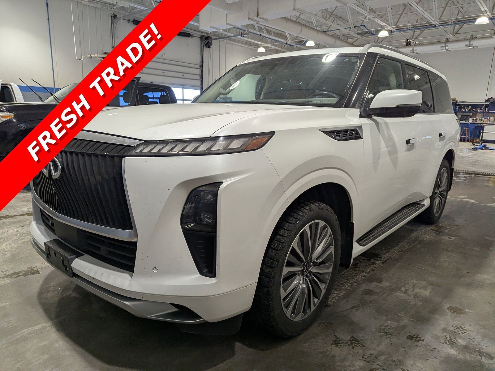 2025 INFINITI QX80
