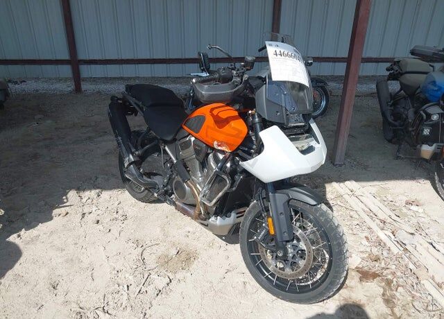 2021 HARLEY DAVIDSON RA1250 / Pan America