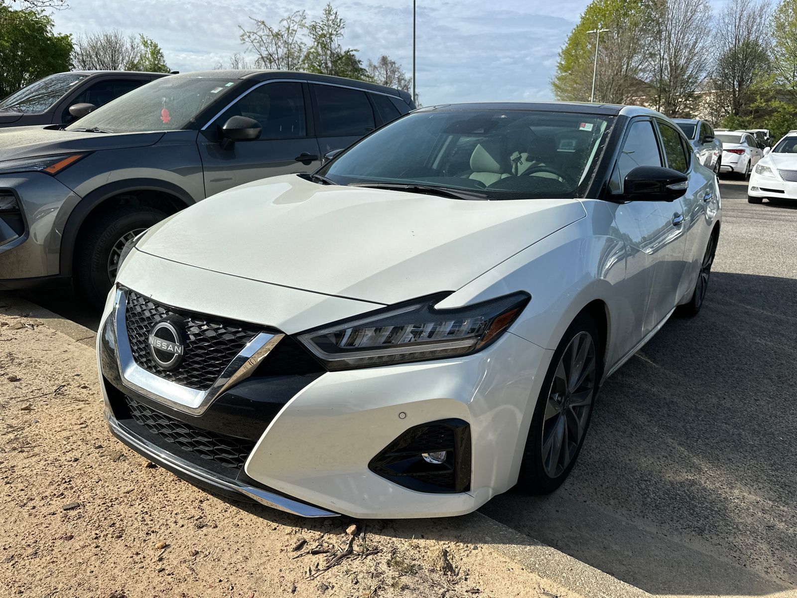 2023 NISSAN Maxima