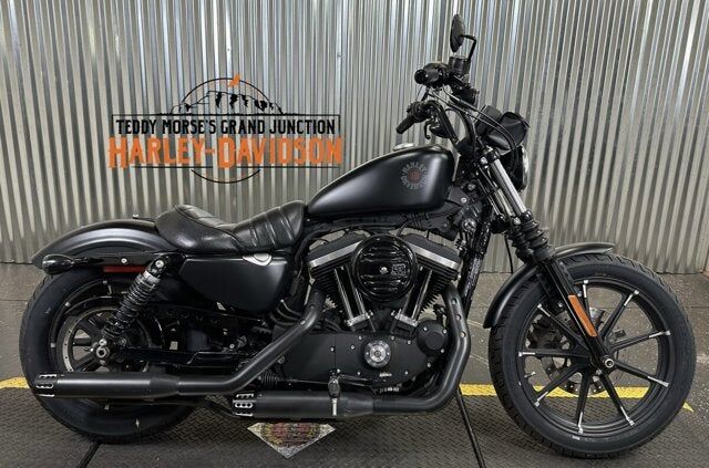 2020 HARLEY DAVIDSON XL883N/IRON 883