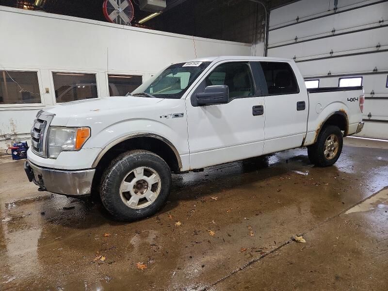 2010 FORD F-150