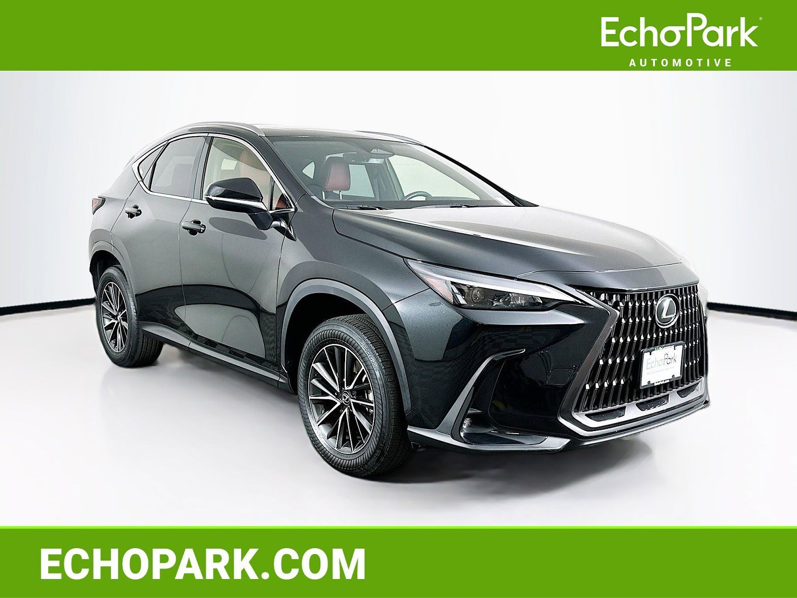 2024 LEXUS NX