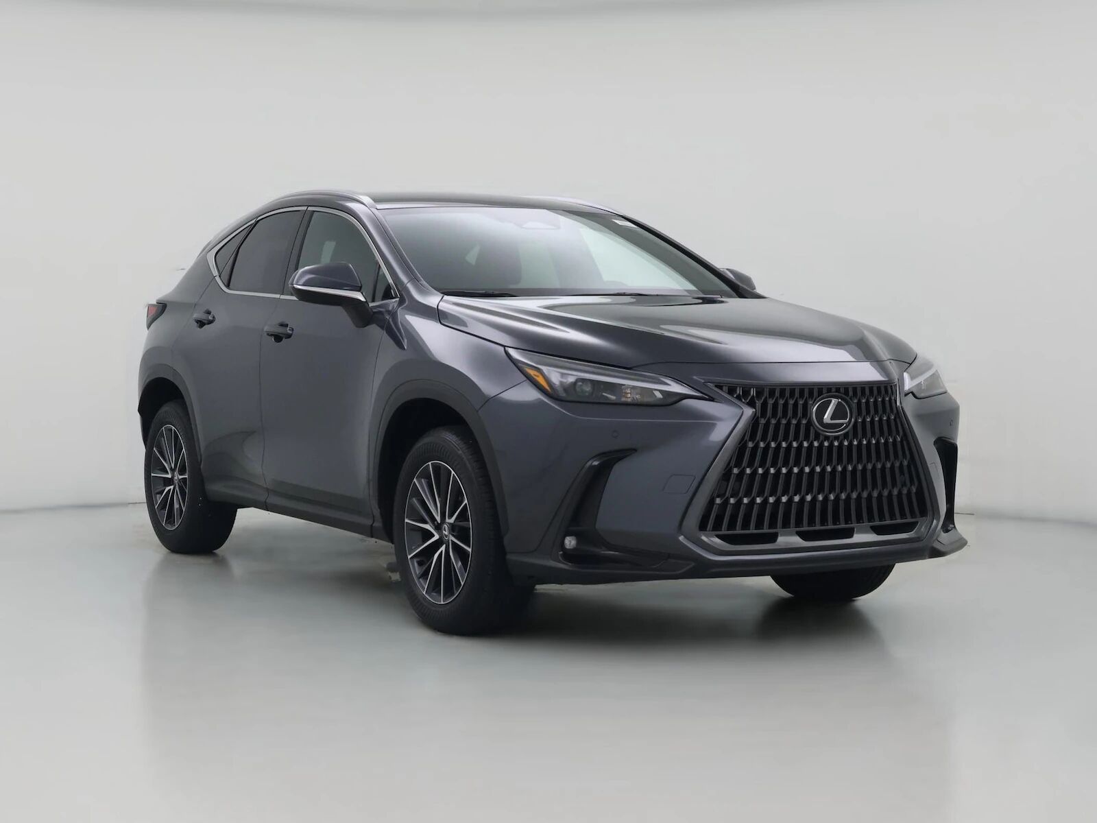 2025 LEXUS NX