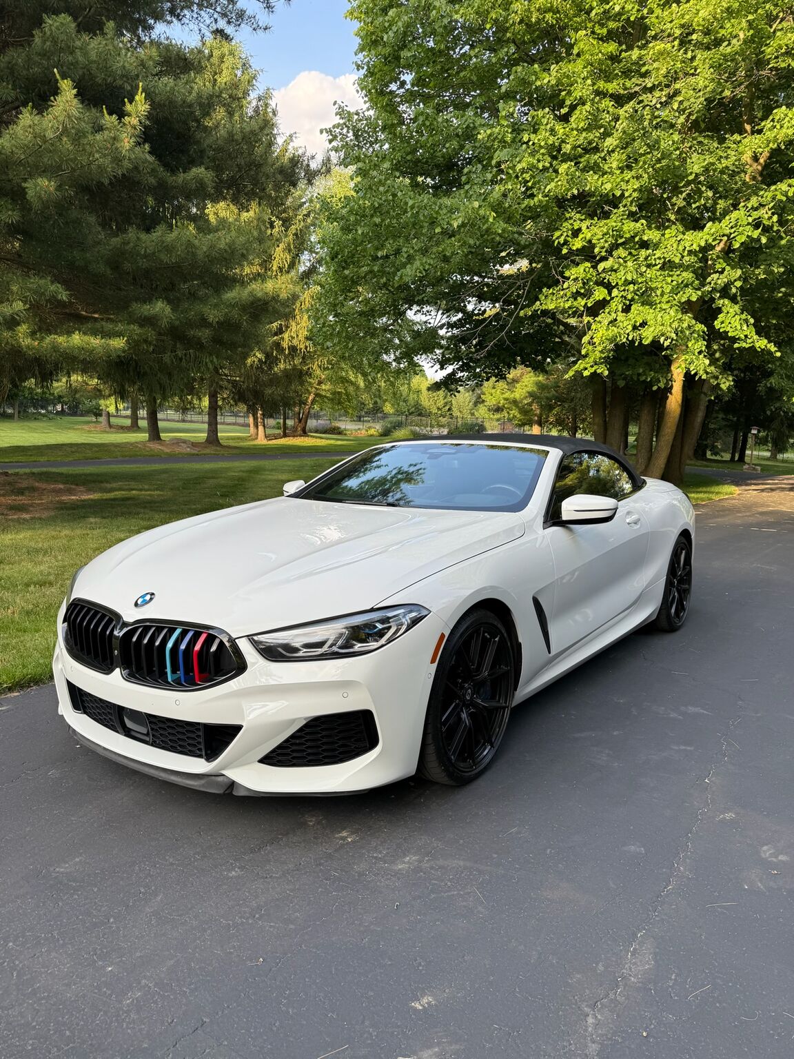 2019 BMW 8 Series