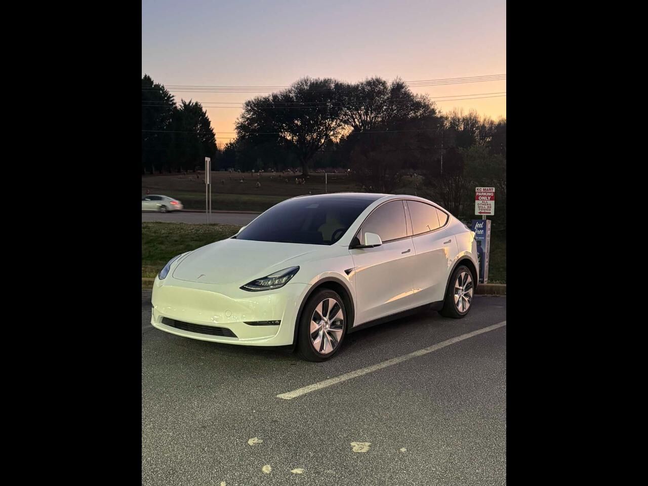 2021 TESLA Model Y