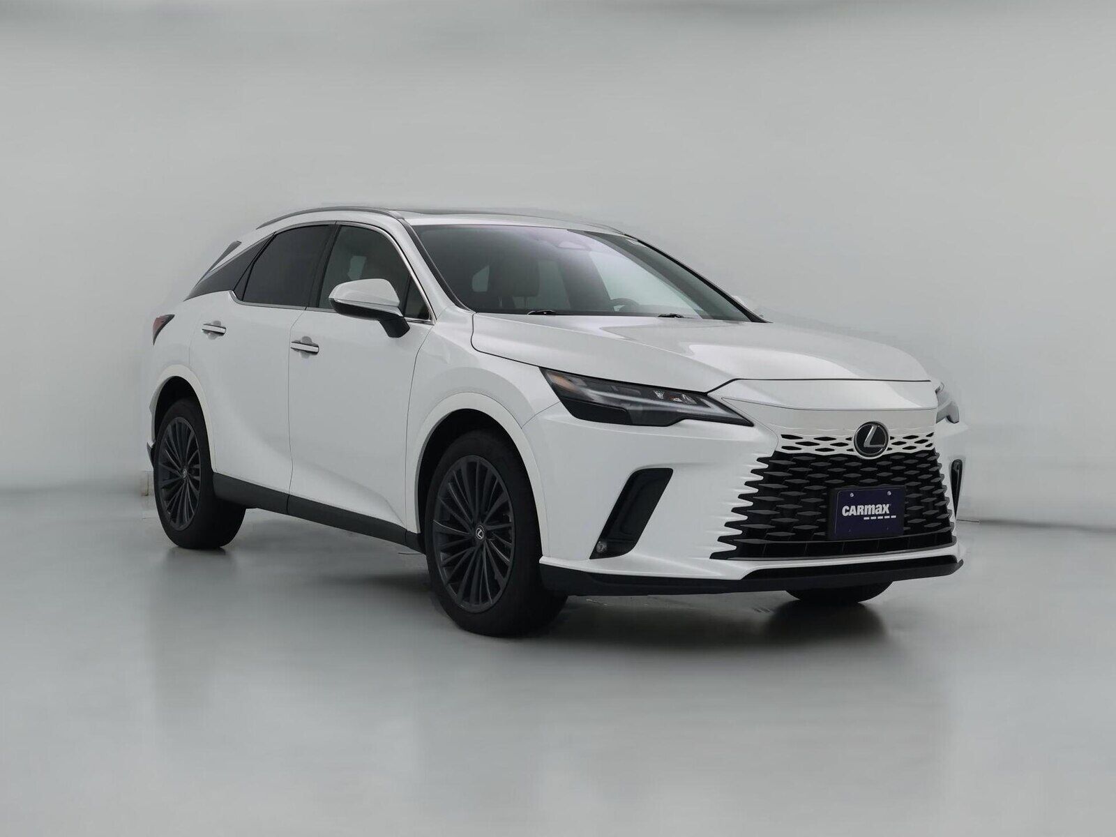 2025 LEXUS RX