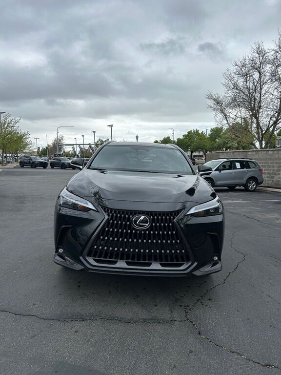 2024 LEXUS NX