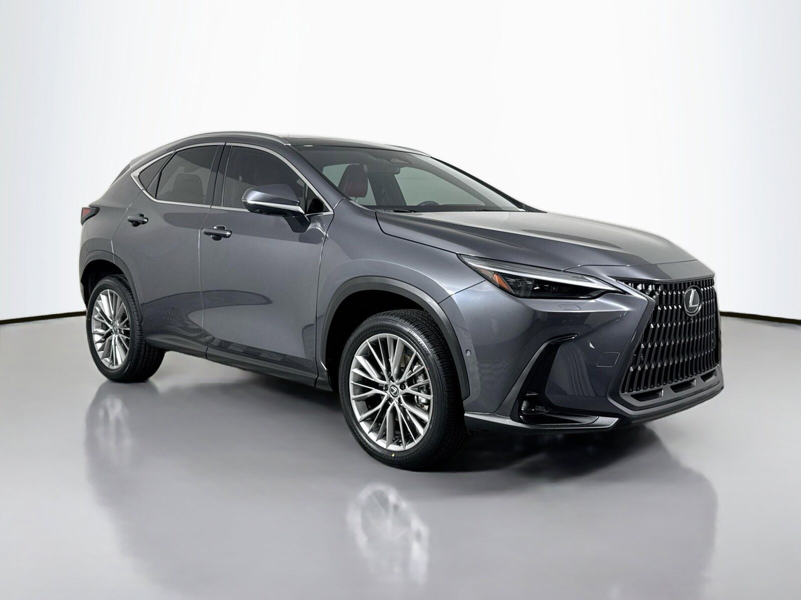 2024 LEXUS NX