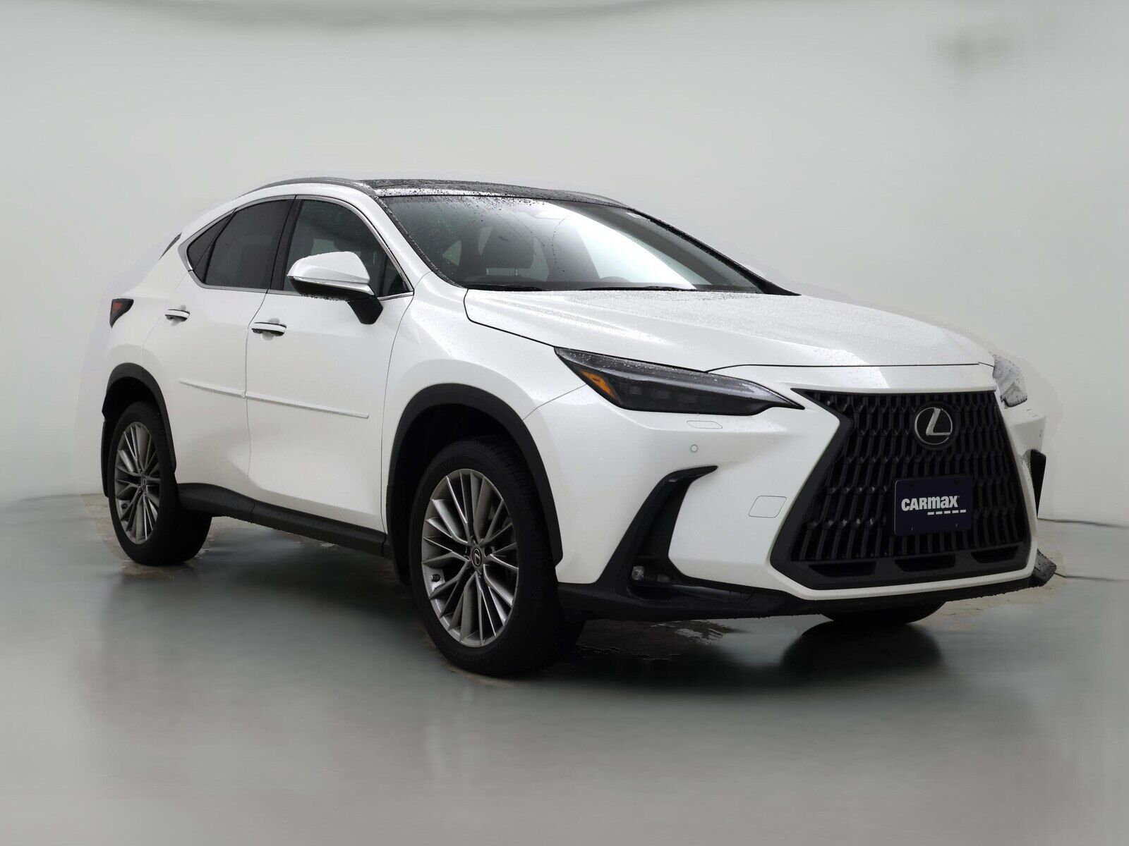 2022 LEXUS NX