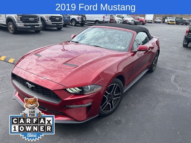 2019 FORD Mustang