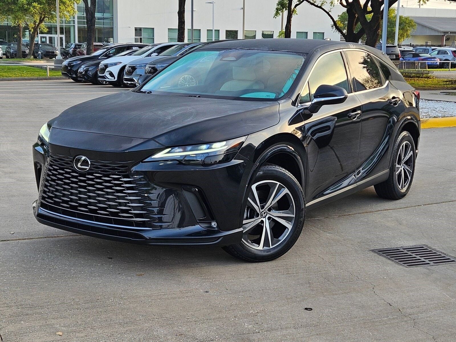 2024 LEXUS RX