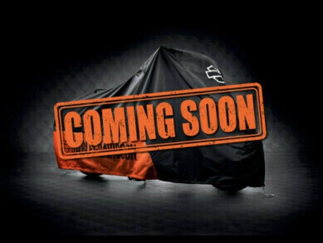 2016 HARLEY DAVIDSON FLTRU / Road Glide Ultra