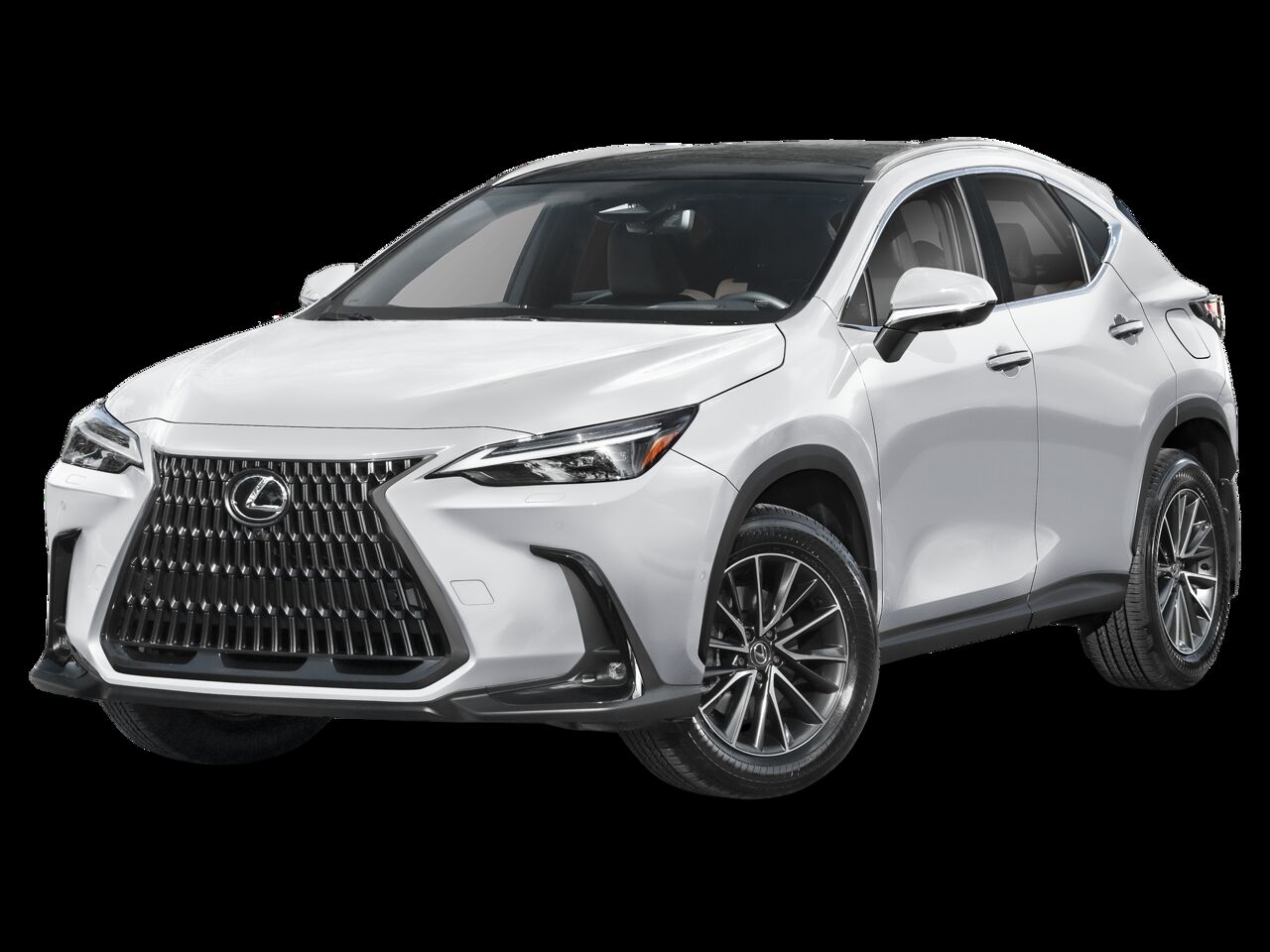 2026 LEXUS NX