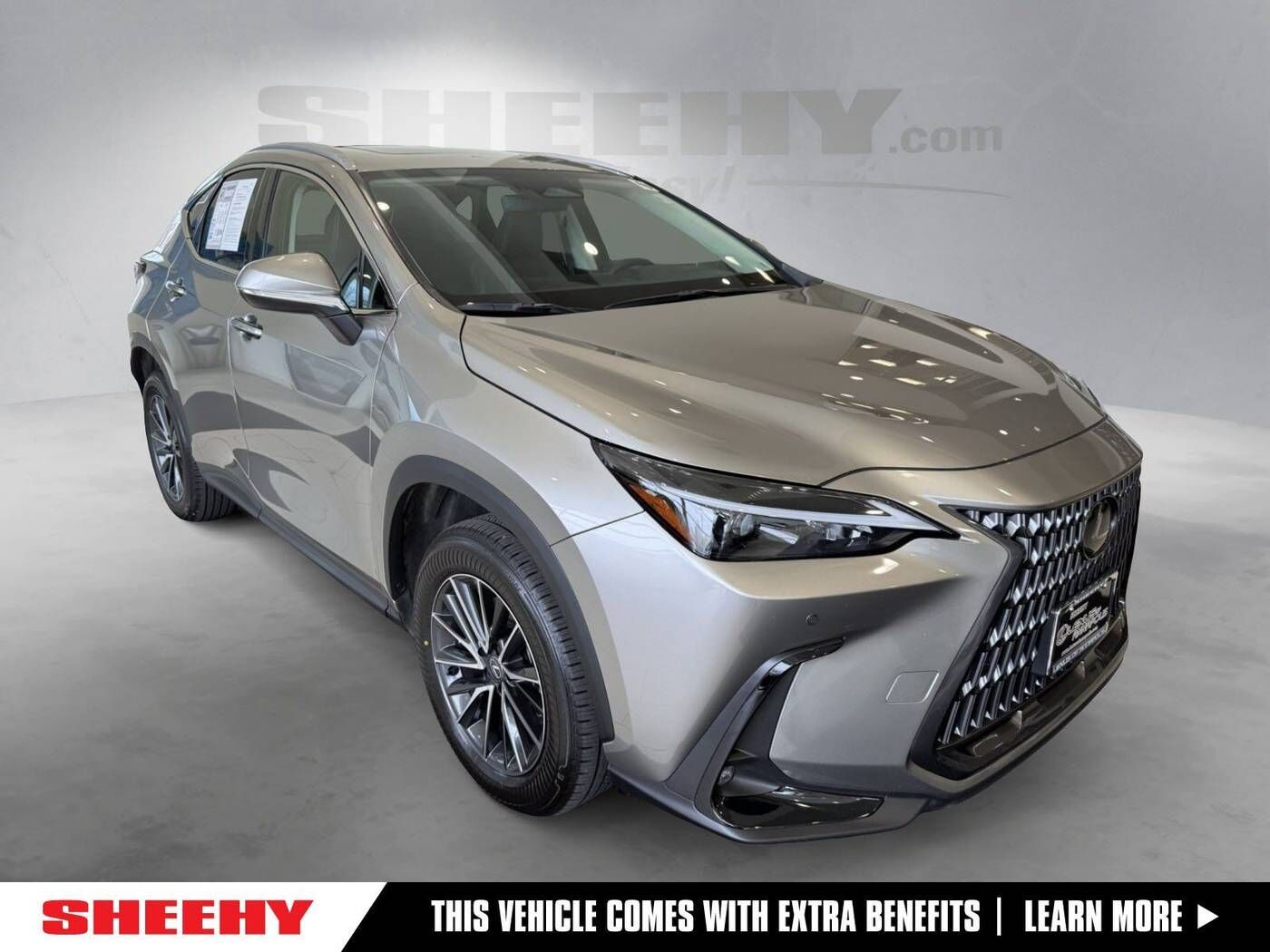 2024 LEXUS NX