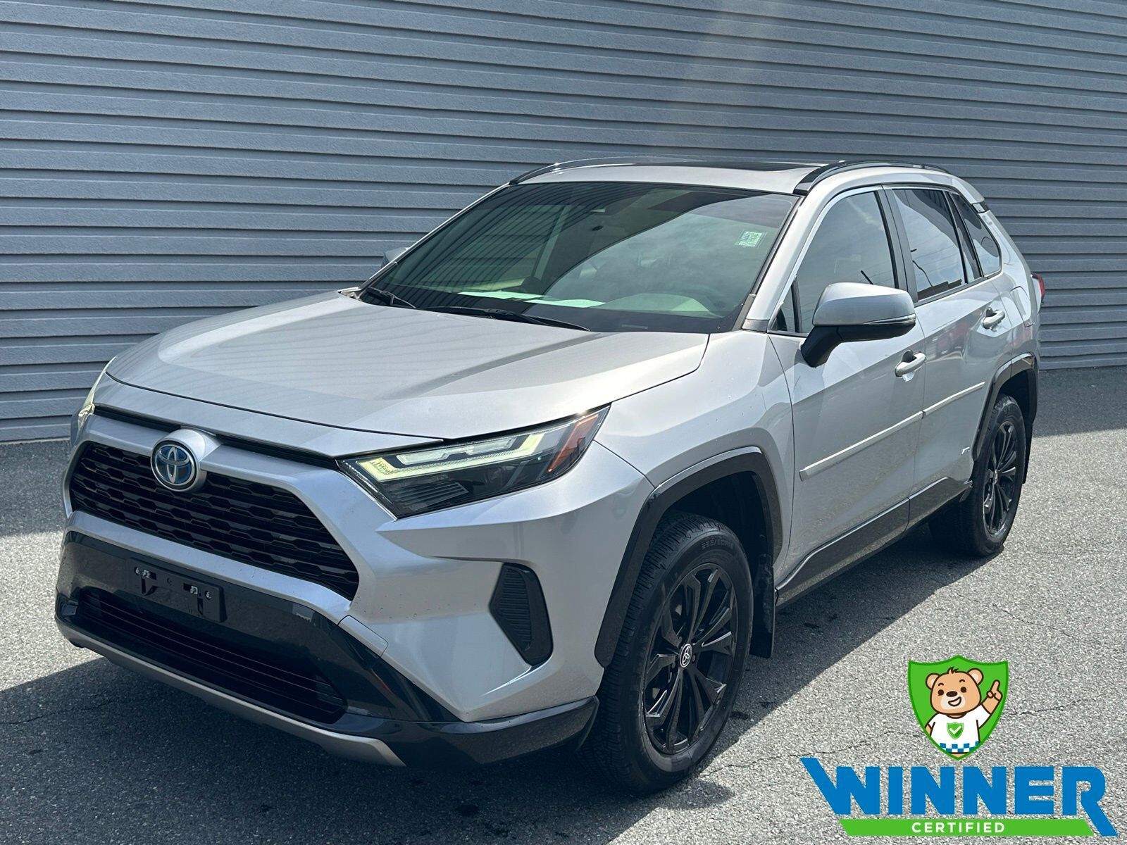 2022 TOYOTA RAV4