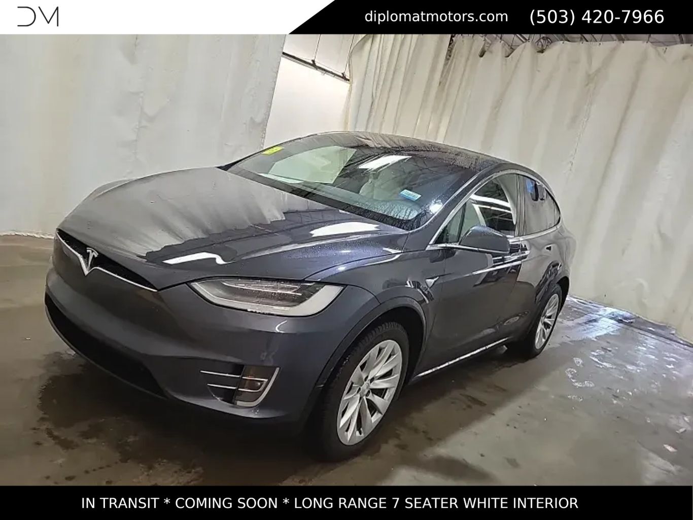 2019 TESLA Model X