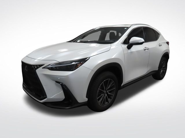 2024 LEXUS NX
