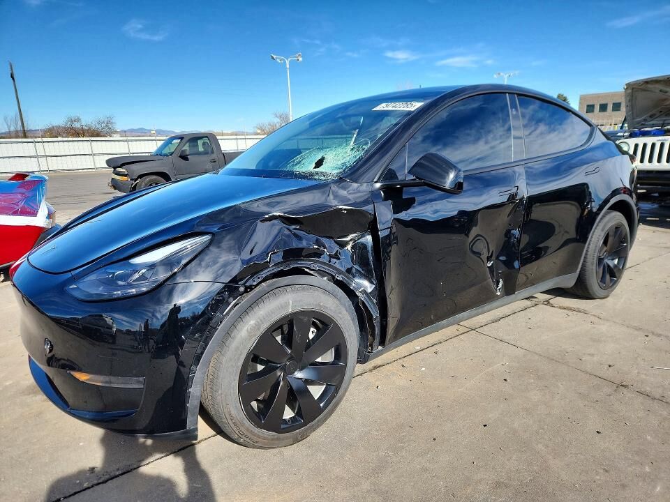 2024 TESLA Model Y