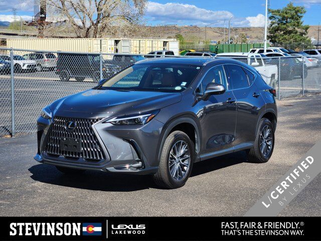 2025 LEXUS NX