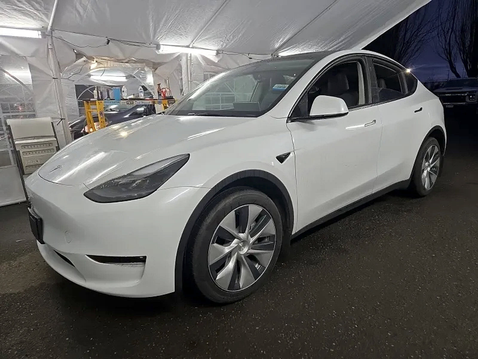 2024 TESLA Model Y