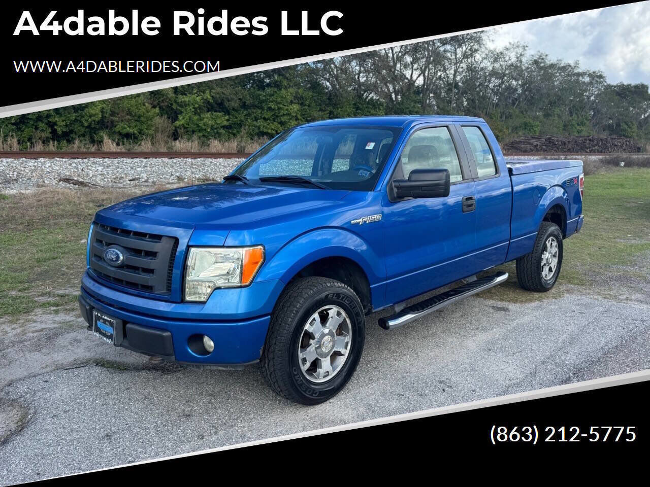 2010 FORD F-150