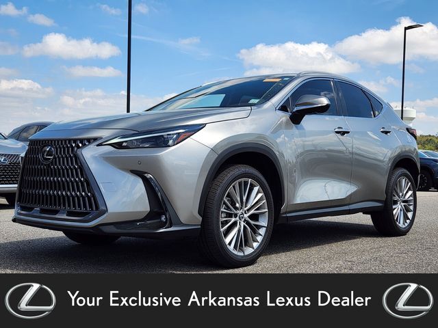 2025 LEXUS NX