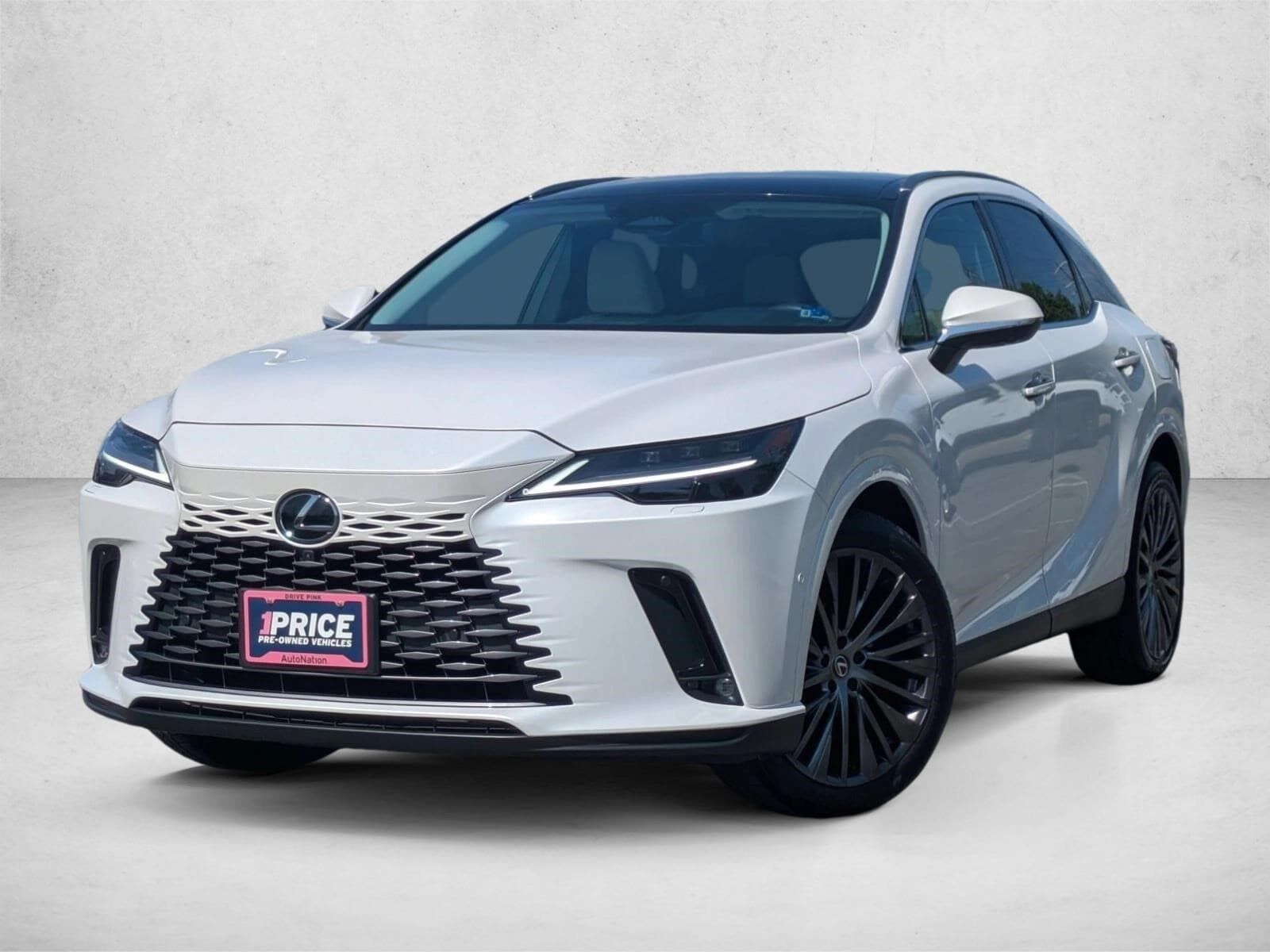 2024 LEXUS RX