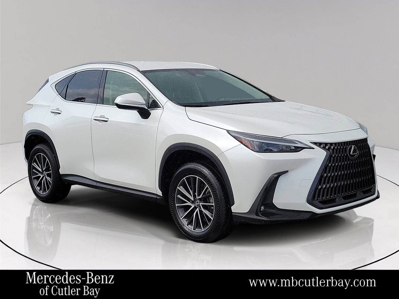 2023 LEXUS NX