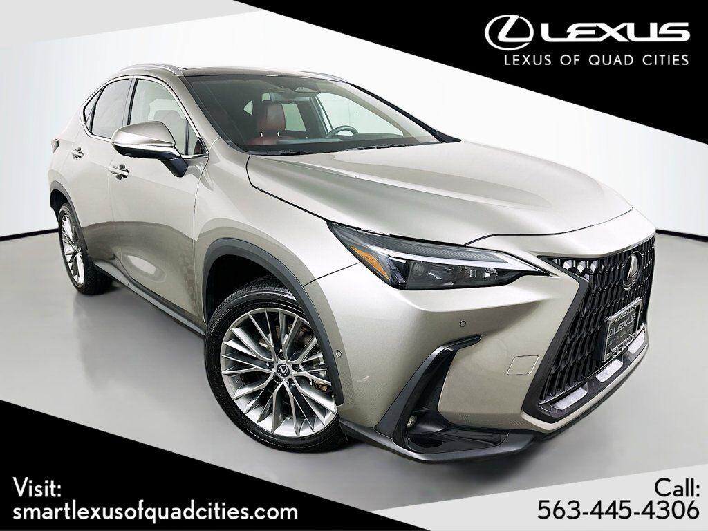 2022 LEXUS NX