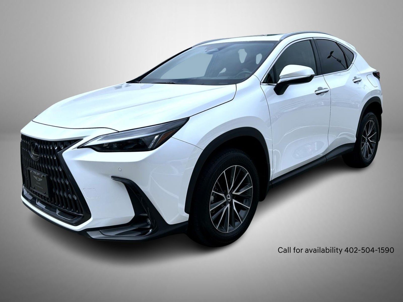 2024 LEXUS NX