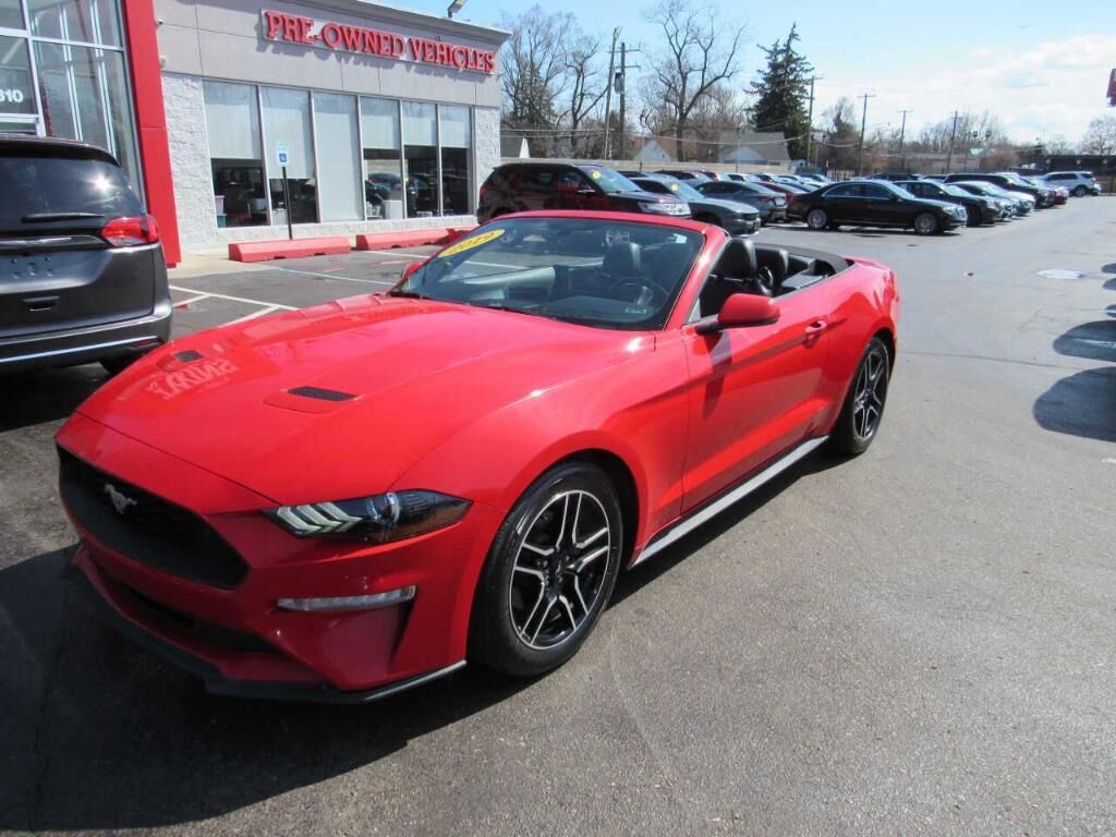 2019 FORD Mustang