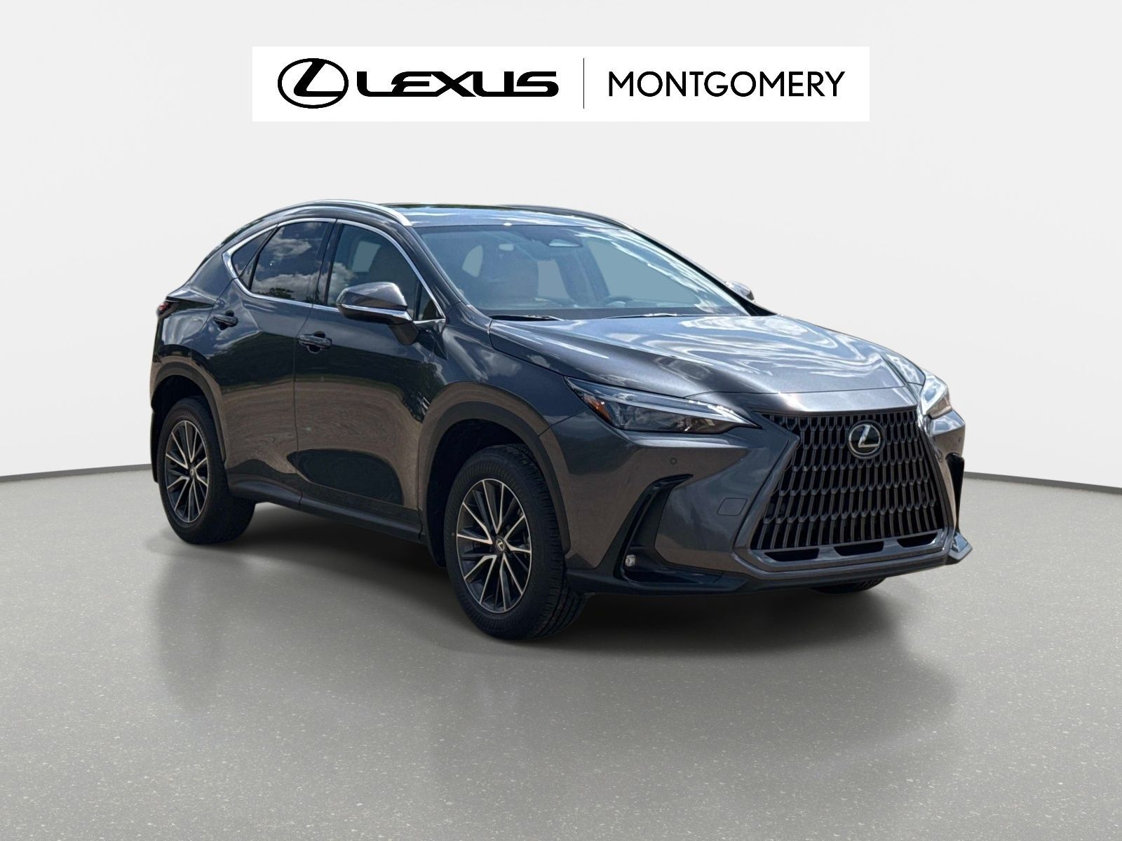 2025 LEXUS NX