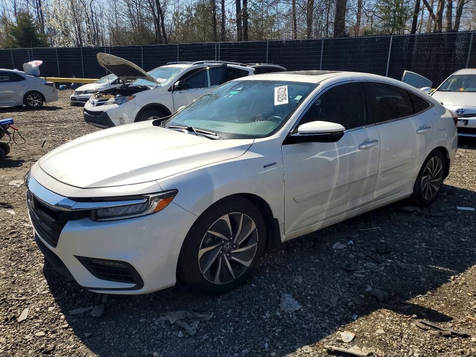 2019 HONDA Insight