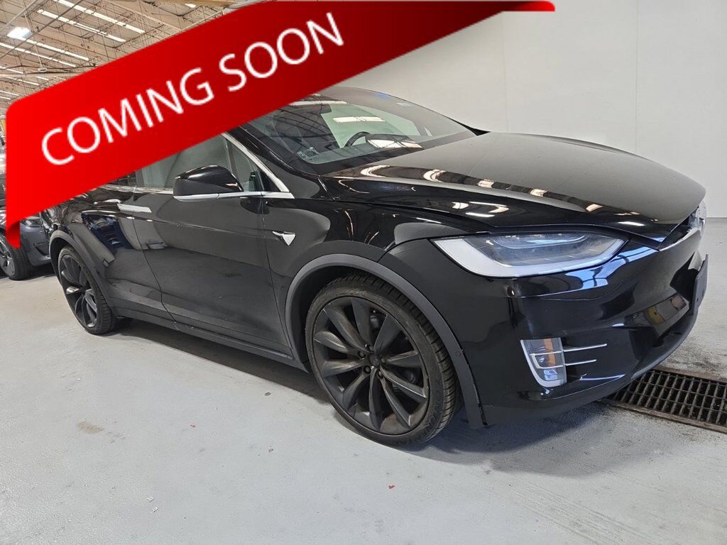 2019 TESLA Model X
