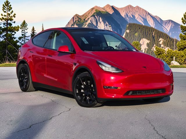 2022 TESLA Model Y