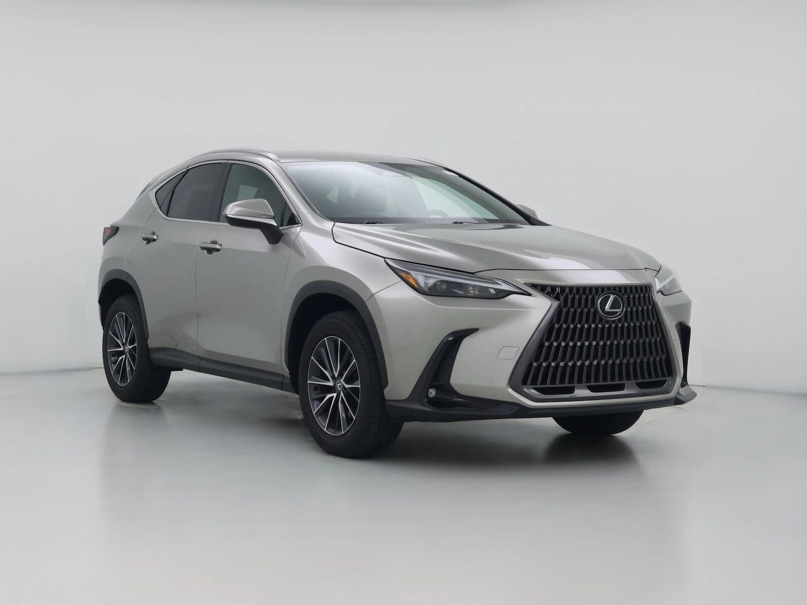 2024 LEXUS NX