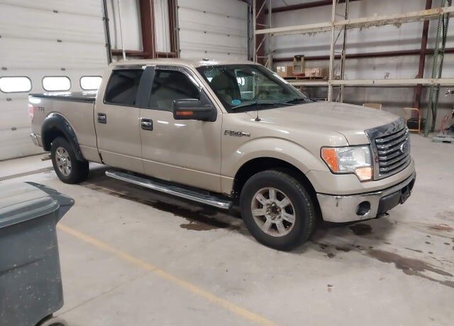 2010 FORD F-150