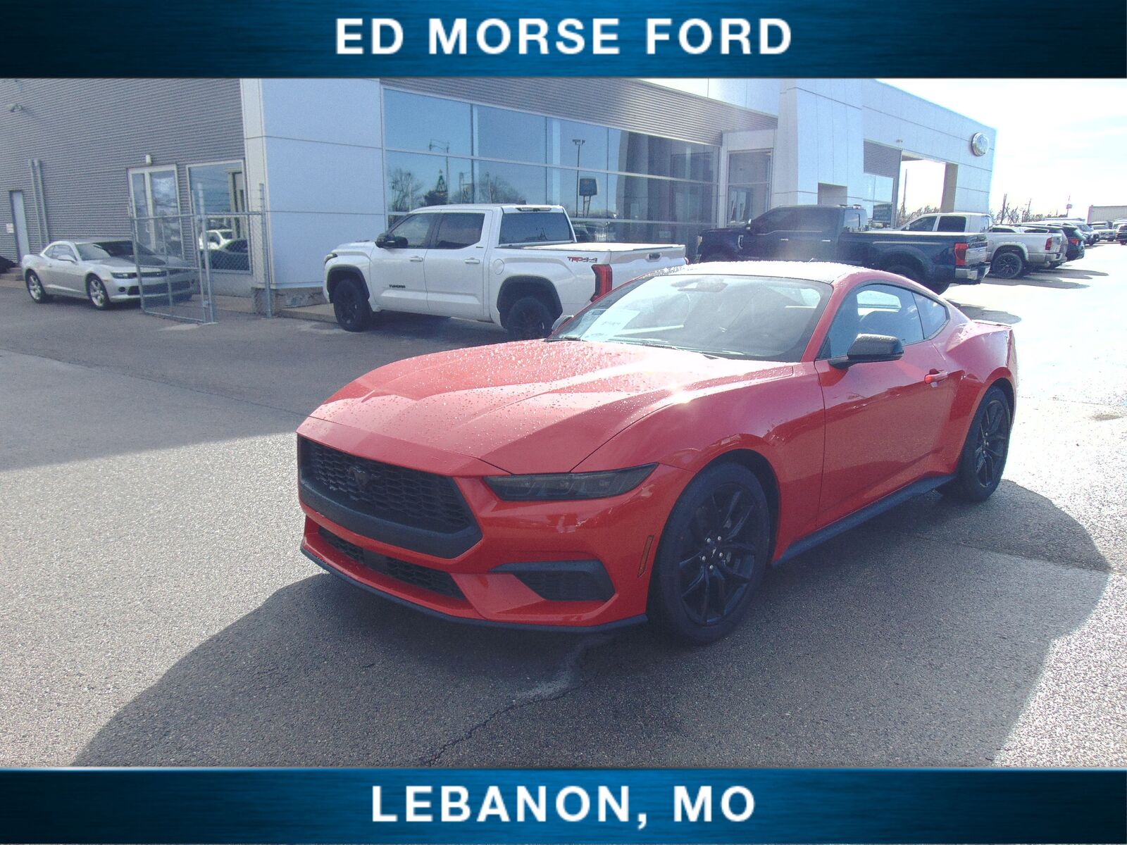 2026 FORD Mustang