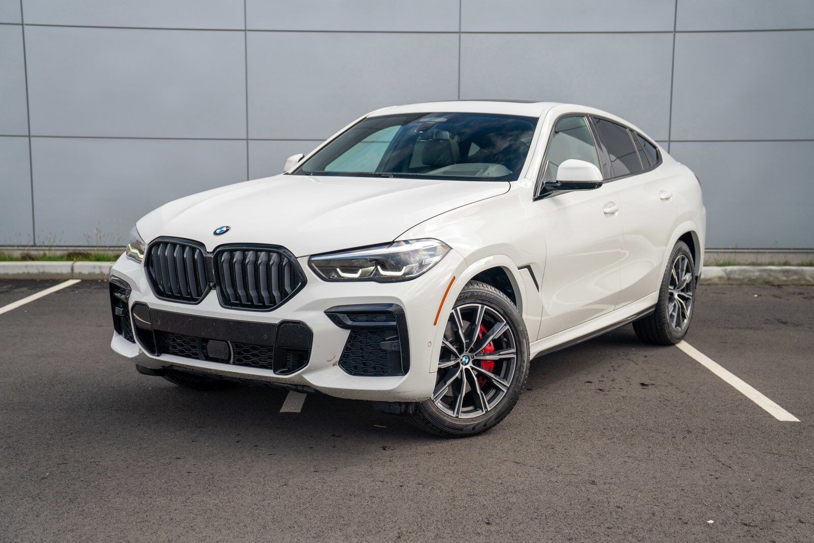 2023 BMW X6